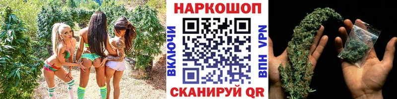 Купить закладку Ногинск БУТИРАТ  СОЛЬ  Меф  ГАШИШ  Канабис  COCAIN 