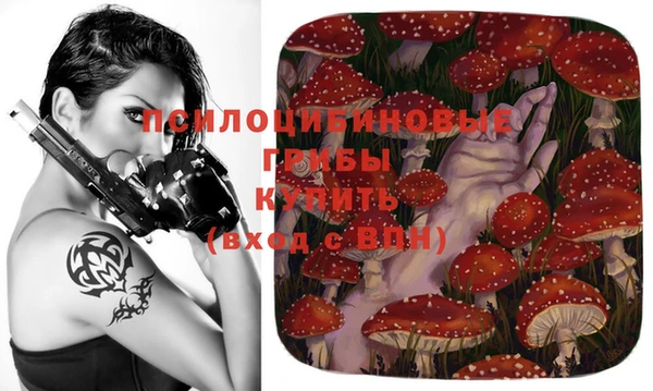 прущий лед Костерёво