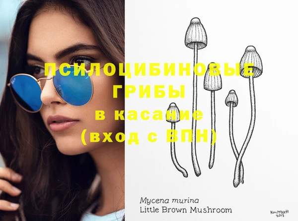 прущий лед Костерёво