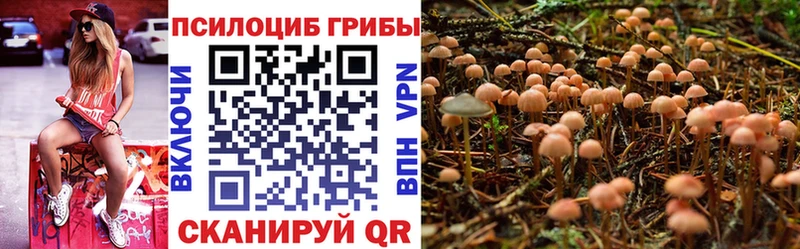 Псилоцибиновые грибы мицелий  закладки  Ногинск 